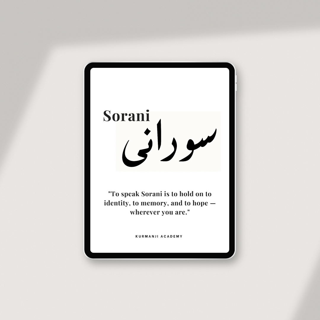 Sorani Academy: Volume 1 โ Your First Steps (ENG)