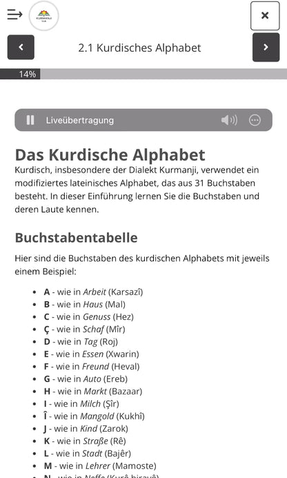 Kurmanji für Anfänger: Ein Dialekt lernen